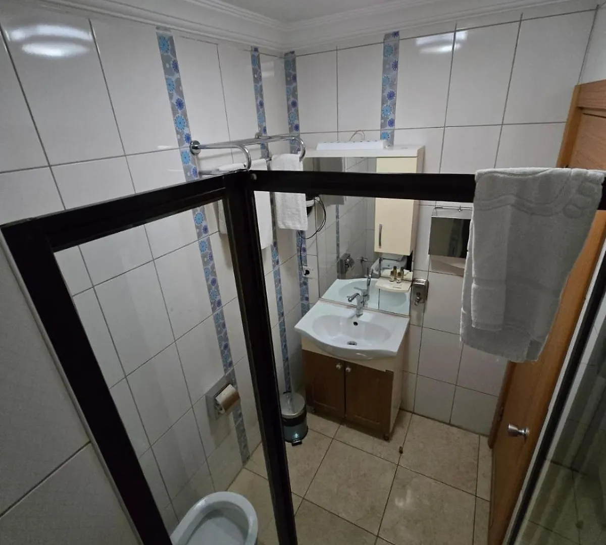 איסטמבול Esen Life Hotel 0*,